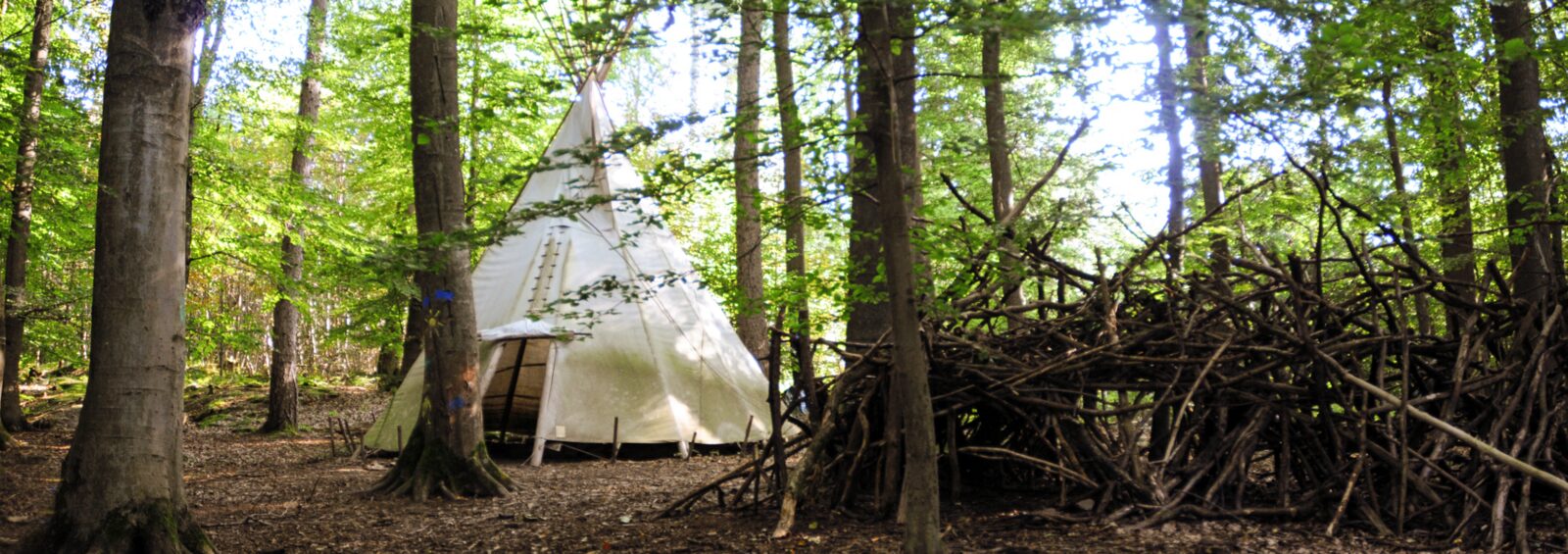 Das Gelände der Waldkita Nordeck: ein Tipi zwischen hohen Bäumen